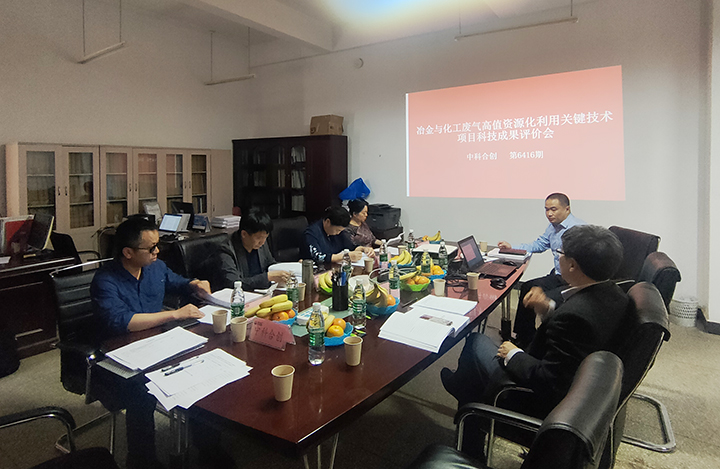 冶金化工废气高值资源化利用关键技术及应用 anli.jpg